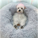 Soft Pet Bed